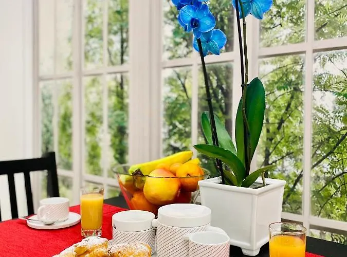 Couette-café Olympic 4*