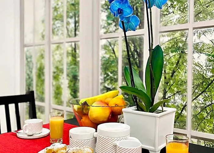 Olympic Couette-café 4*